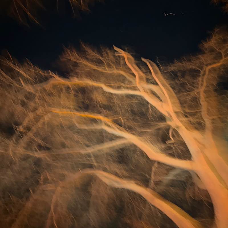 Mateev Tsvetelin post 1