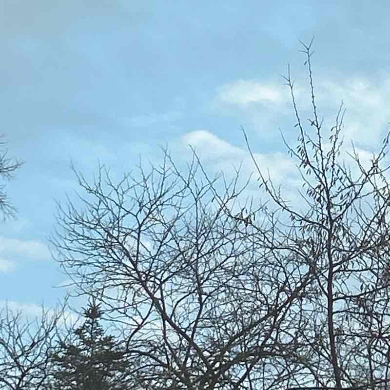 Mateev Tsvetelin post 1