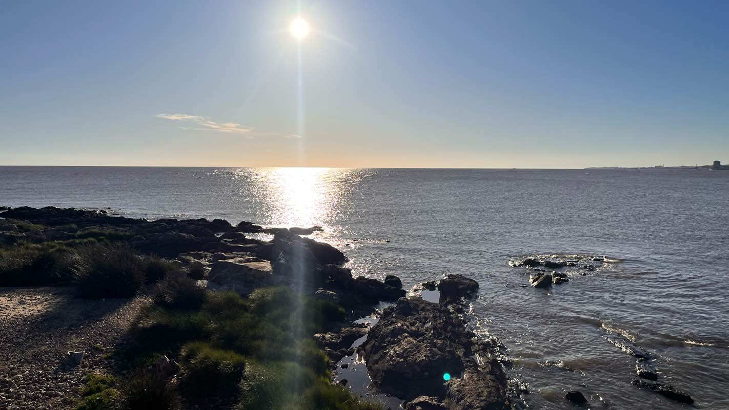 walking near me in Parque Rodó in summer