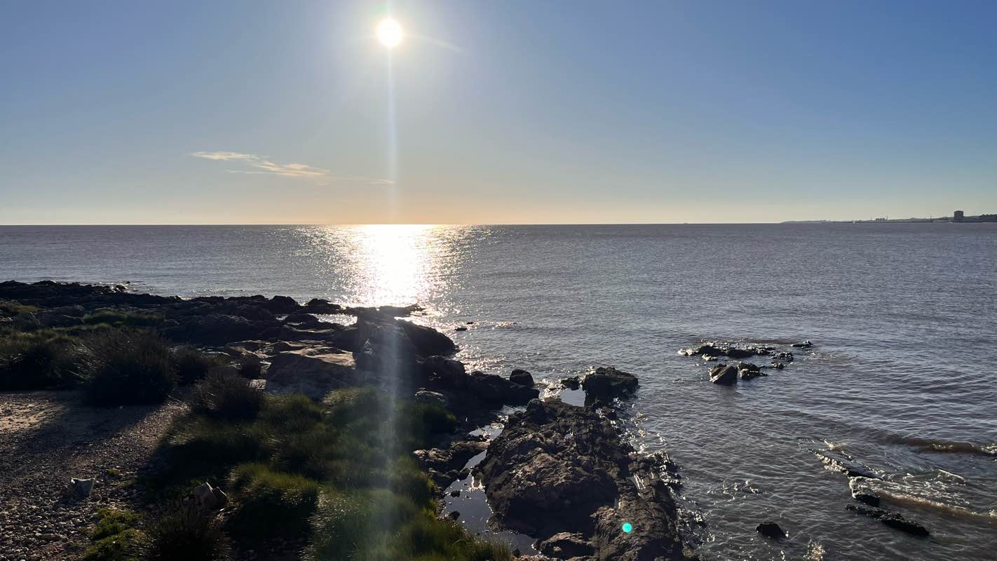 walking near me in Plaza Del Carnaval Del Uruguay in summer