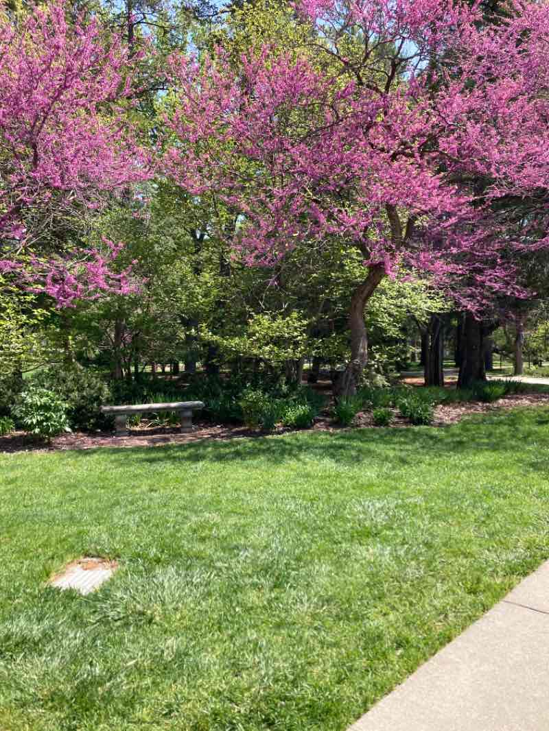 walking near me in Central Campus in winter