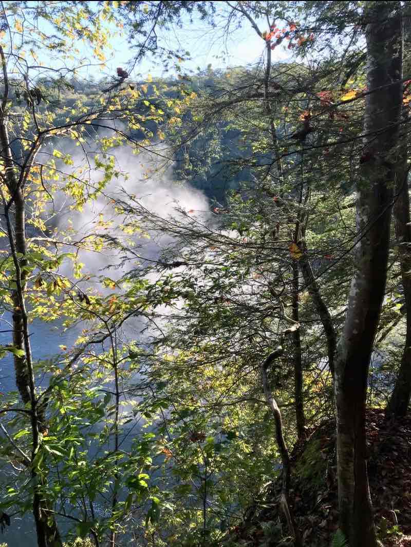 walking near me in Cole Community Park in winter