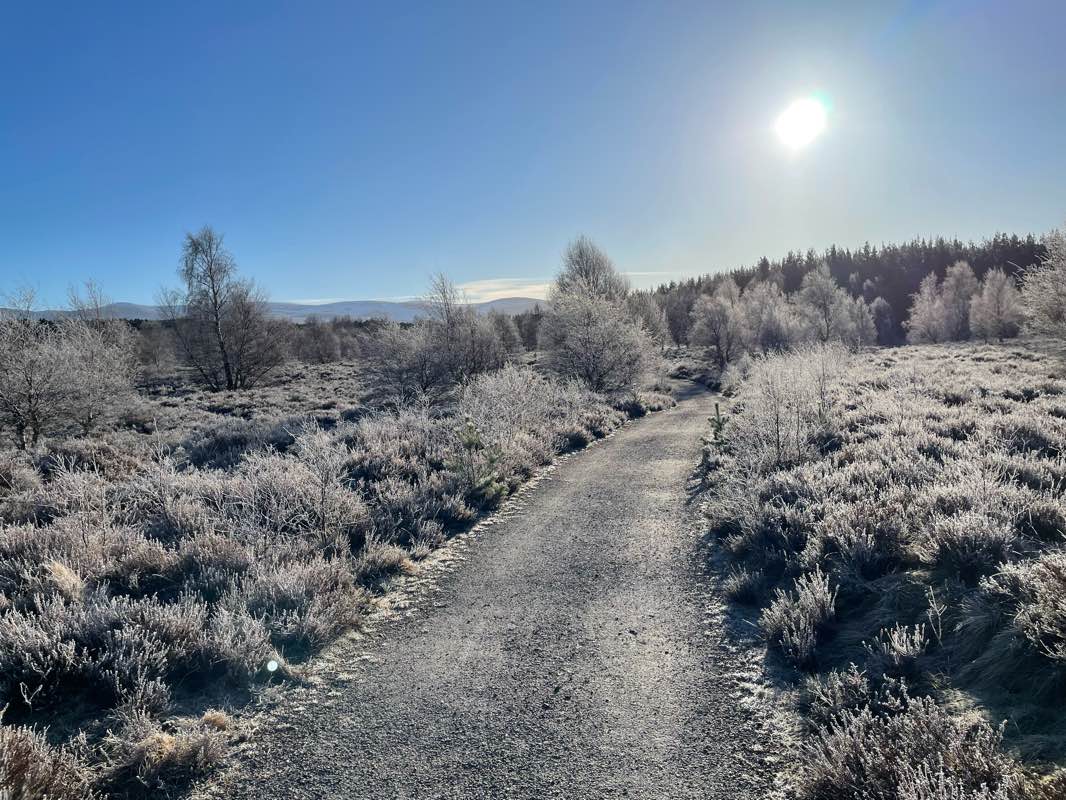 walking near me in Insh Marshes National Nature Reserve in winter