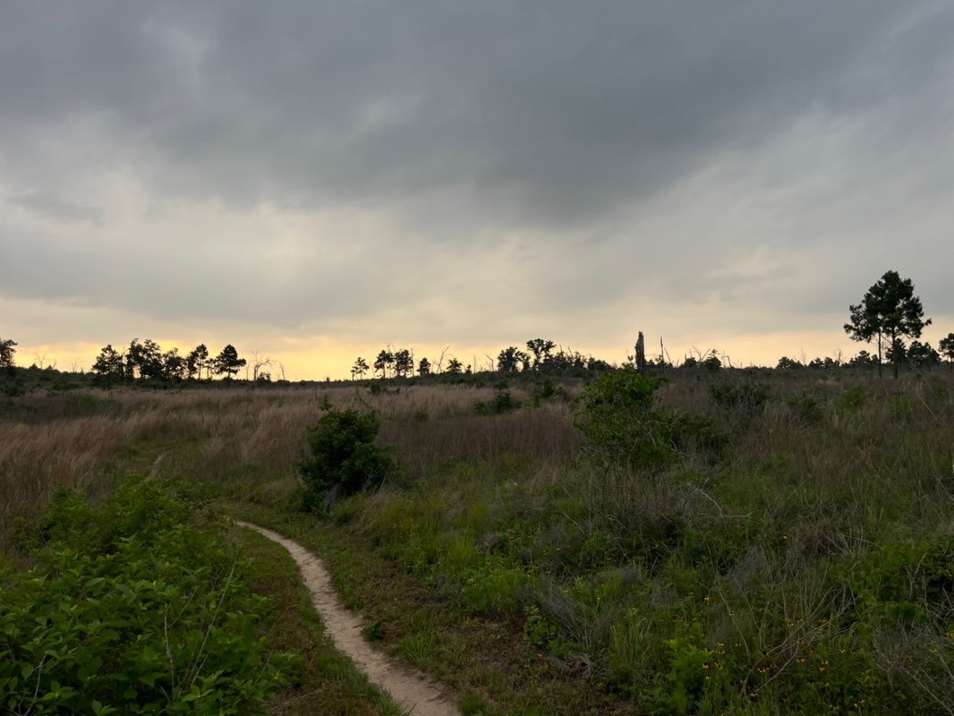 walking near me in Bastrop State Park in spring
