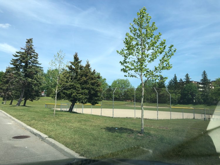 walking near me in Waterdown Memorial Park in summer