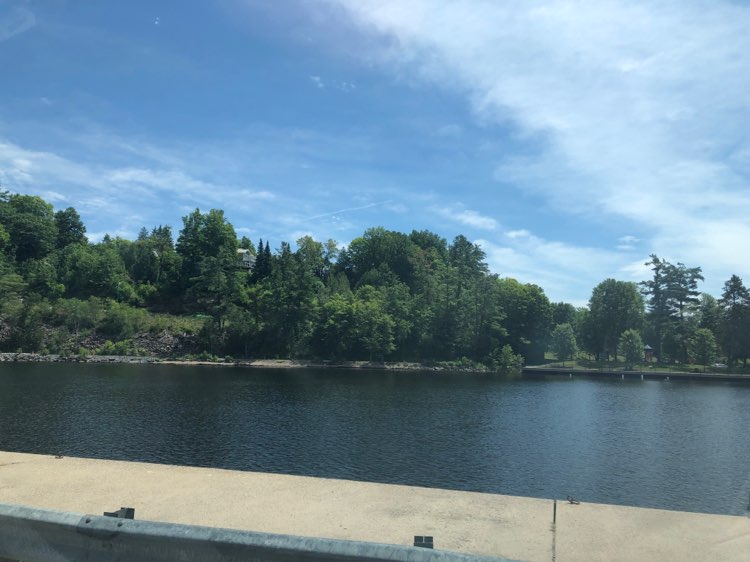 walking near me in Bracebridge Bay Park in summer