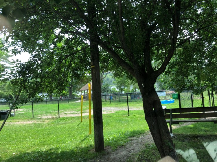 walking near me in Yvonne Williams Park in summer
