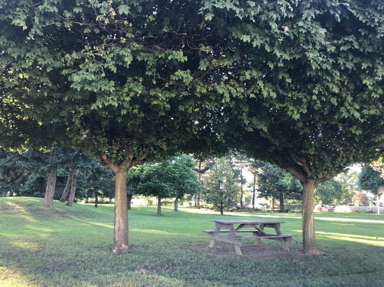 walking near me in Maple Park in summer
