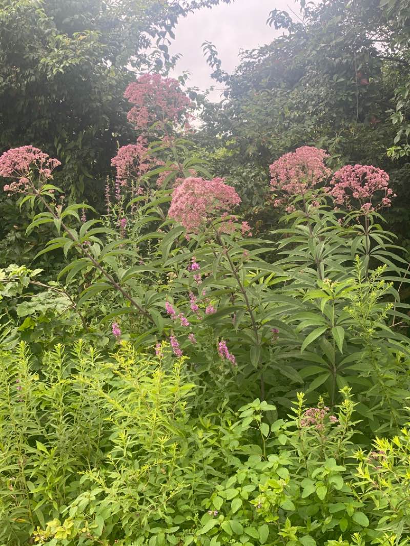 walking near me in EDCO Park in winter