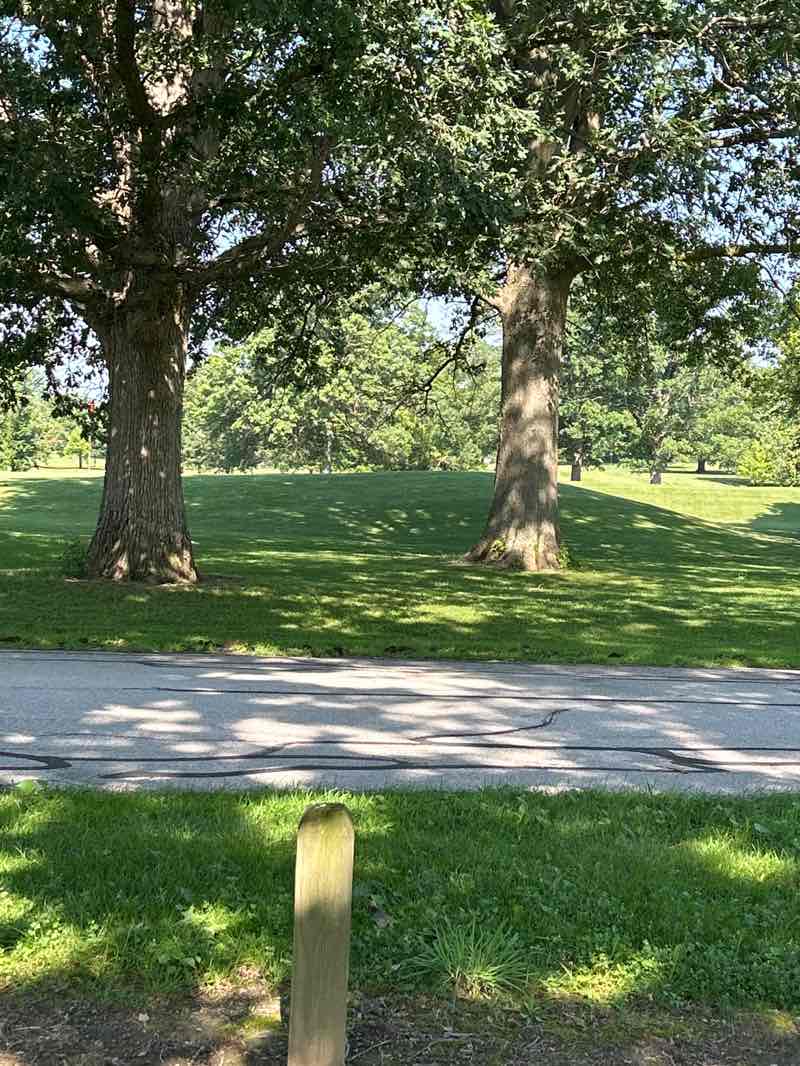 walking near me in Shoaff Park in summer