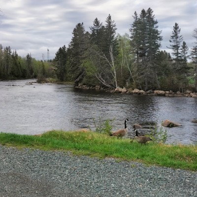 Fatiha 🇨🇦 post 1