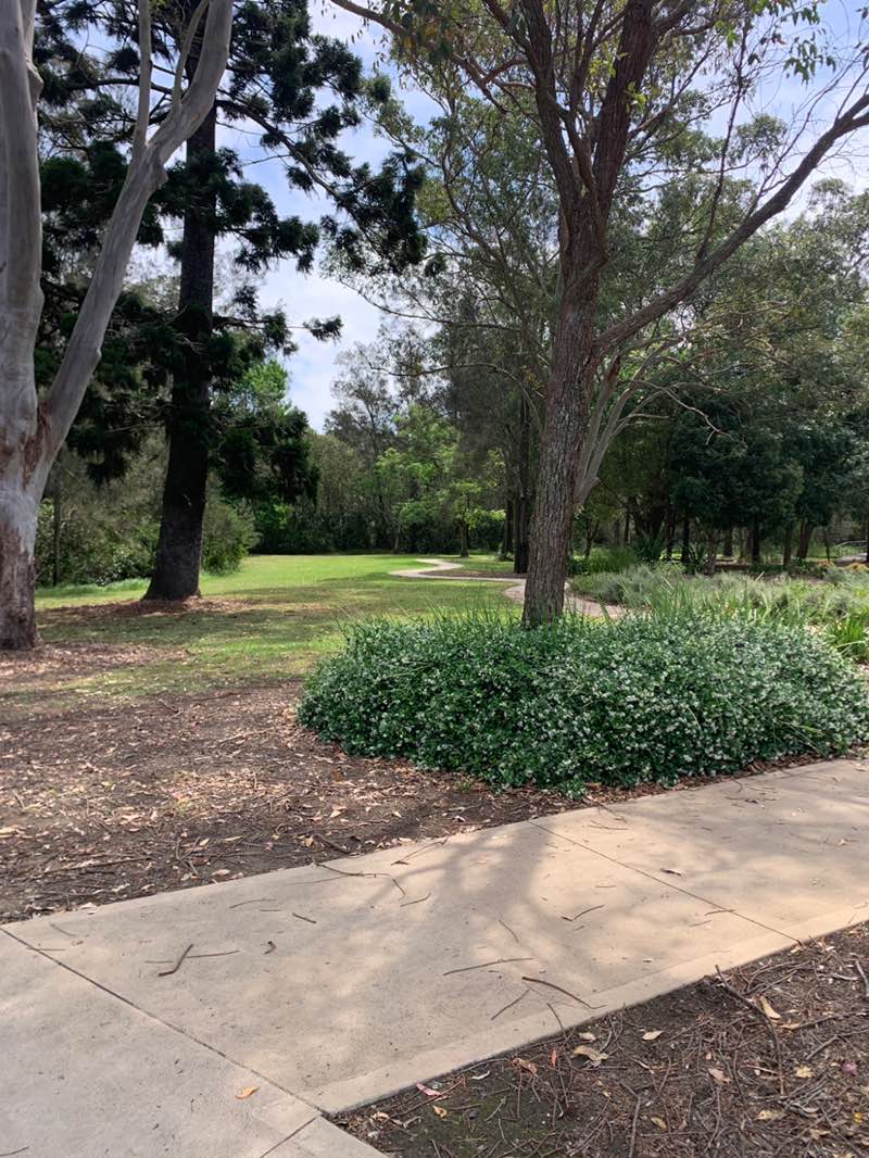 walking near me in Sensory Park in spring