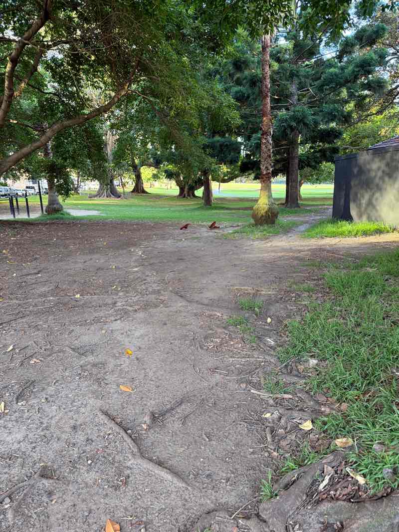 walking near me in Hyde Park in spring