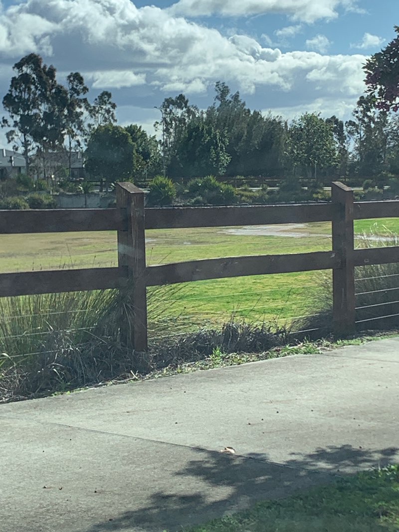 walking near me in Gregory Hills Amphitheatre in spring