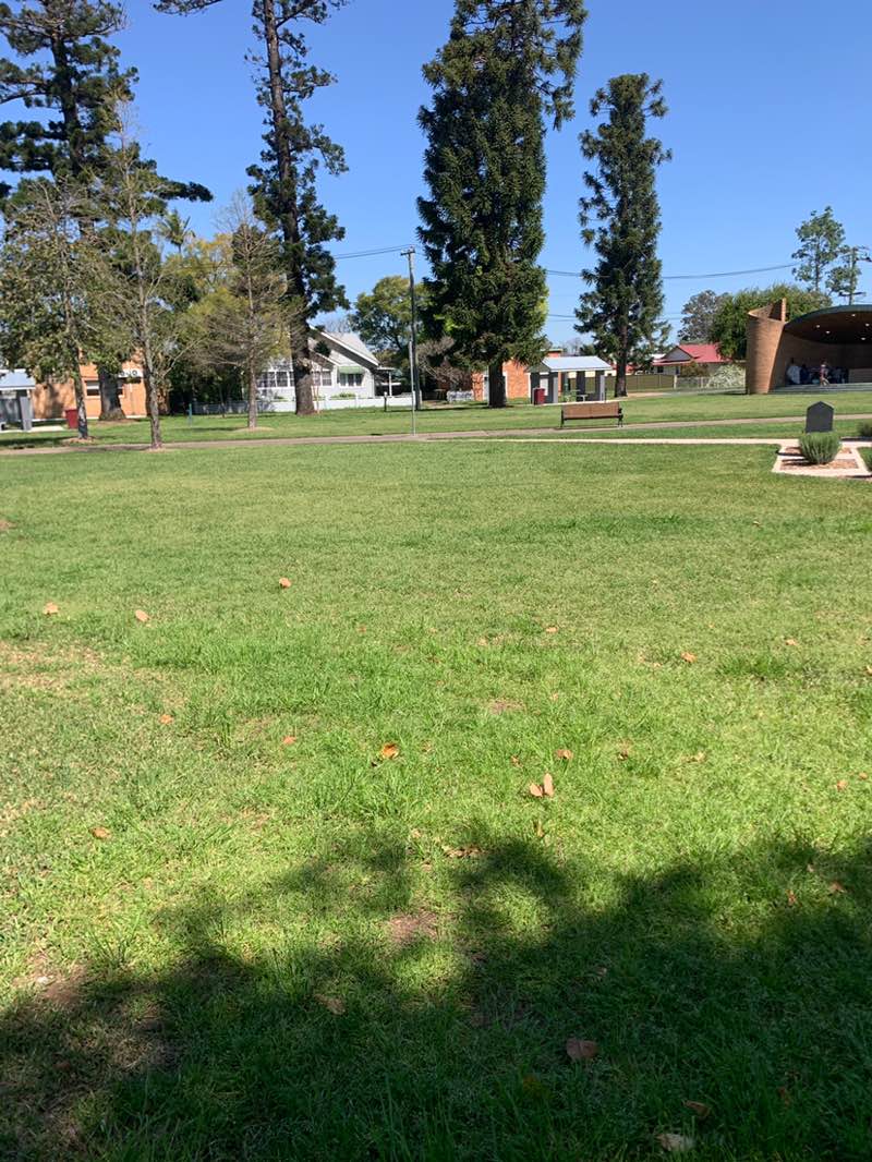 walking near me in Burdekin Park in spring