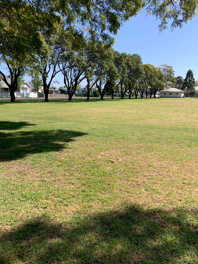 walking near me in Albion Park in spring