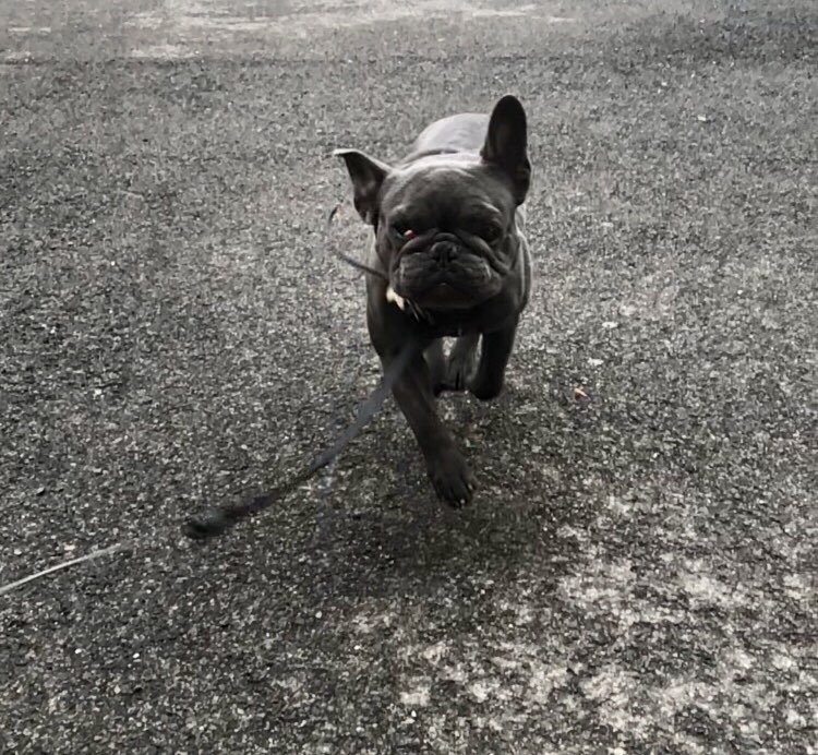 Noemi 🇭🇺🚴🏽‍♀️