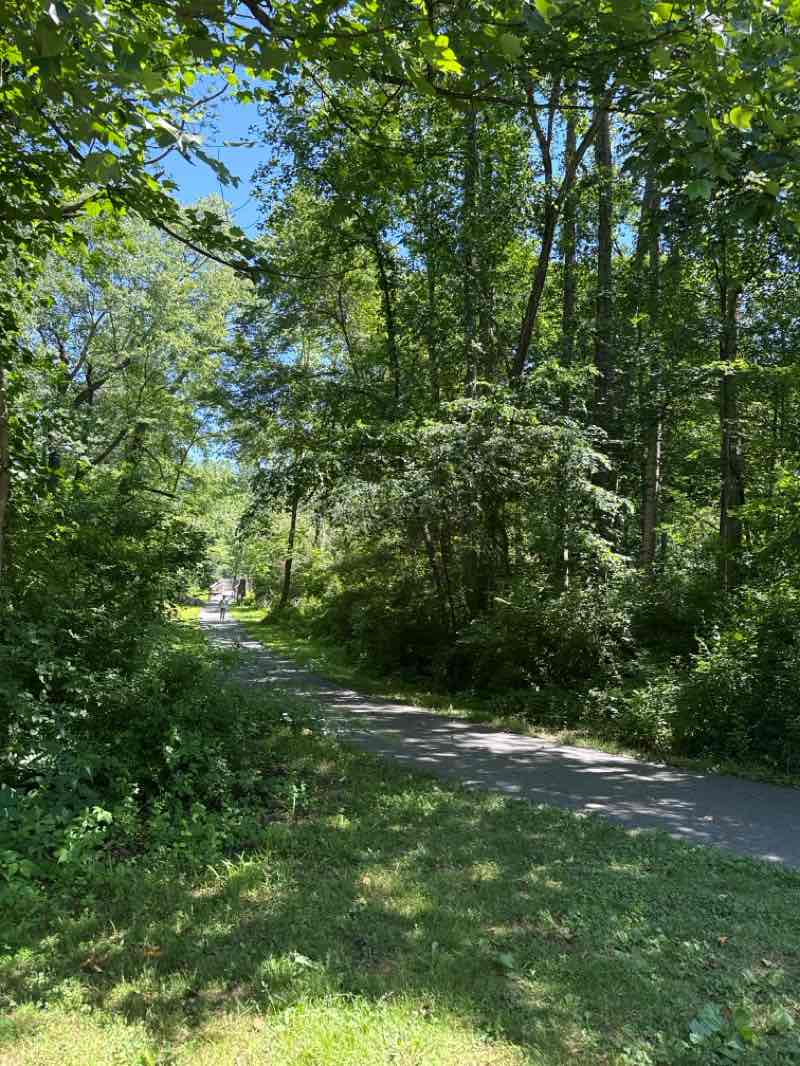 walking near me in Tamarack Park in summer