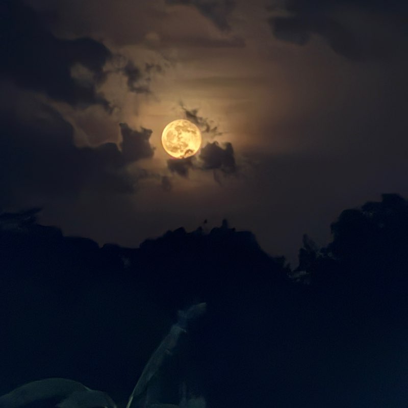 El Salvador jorge post image