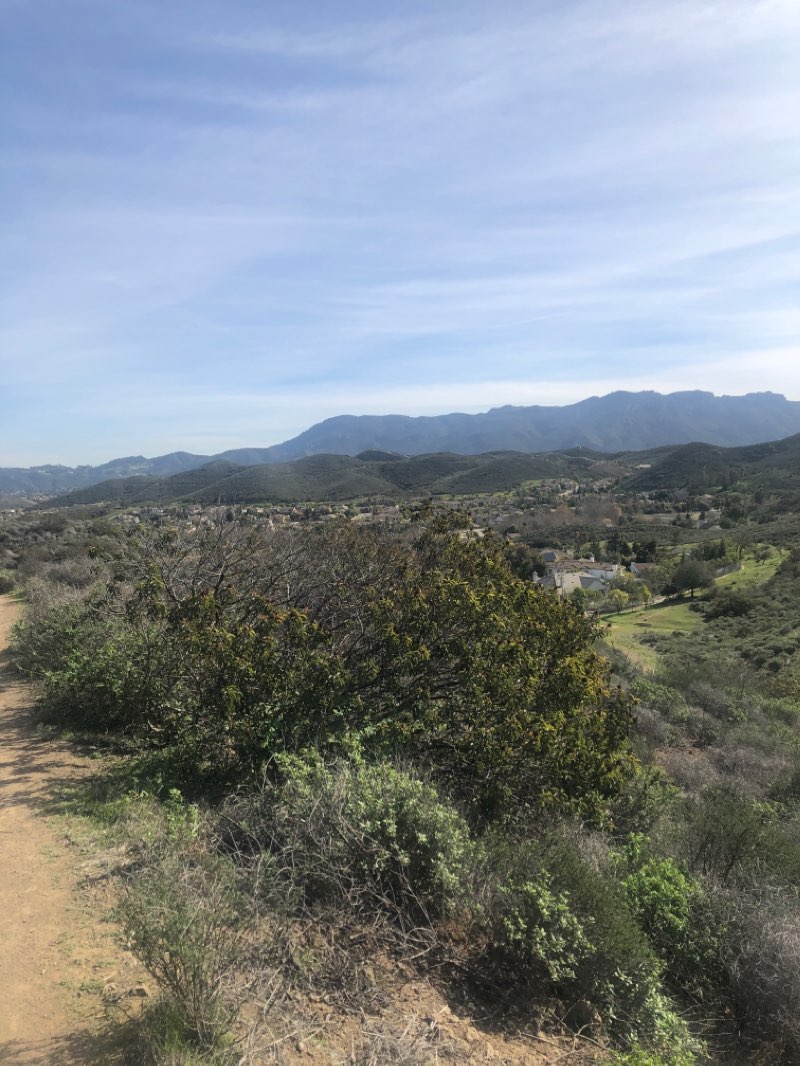 walking near me in Dos Vientos Open Space in winter