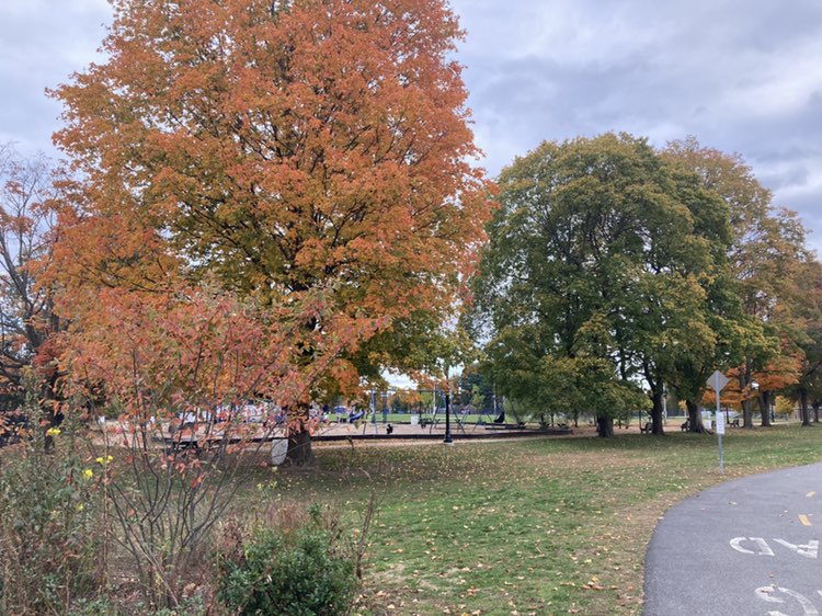 walking near me in Doyle Field in autumn