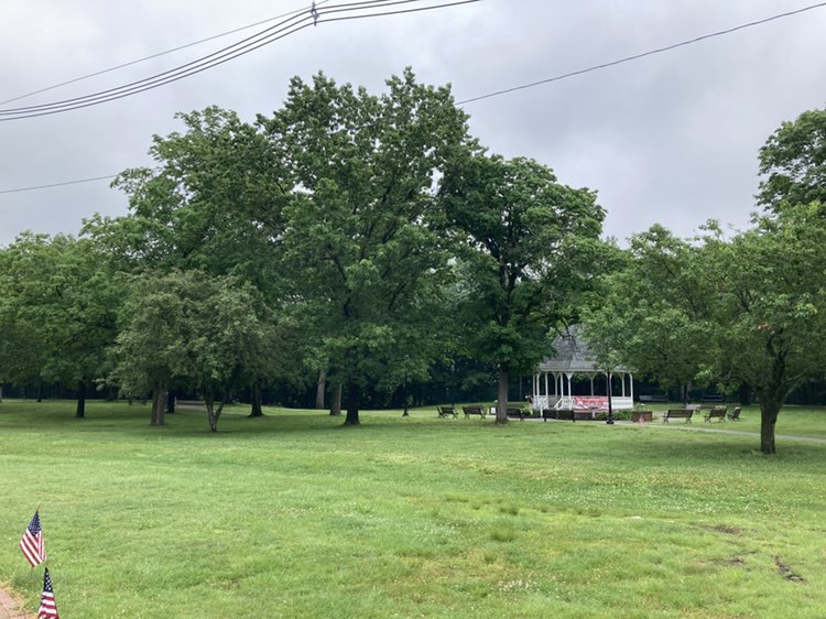 walking near me in Carter Park in summer