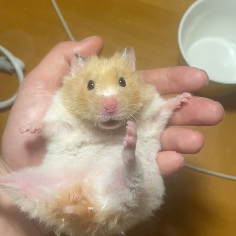 Yesterday！Goodbye！ post 2