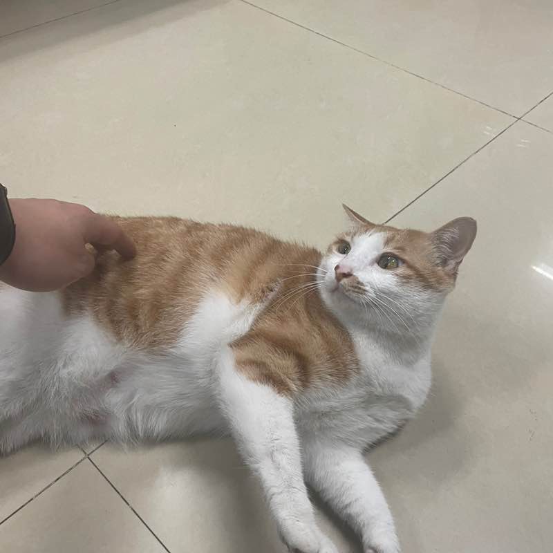 Yesterday！Goodbye！ post 1