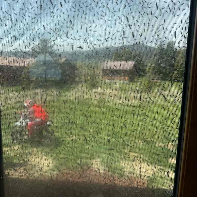 Pension Pacers jeffrey.stubbs post image