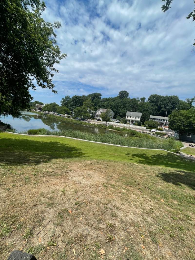 walking near me in Mill Pond Park in winter