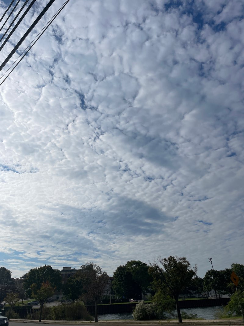 walking near me in Sunset Park in winter