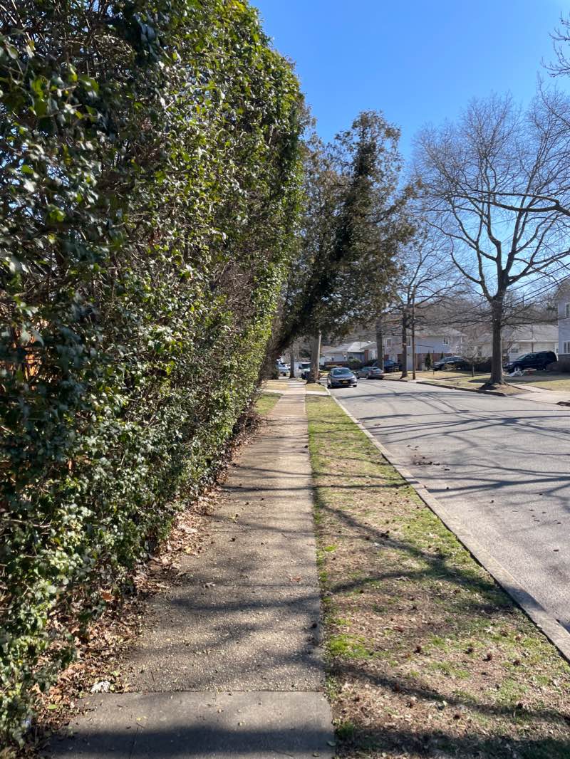 walking near me in Lions Field in winter