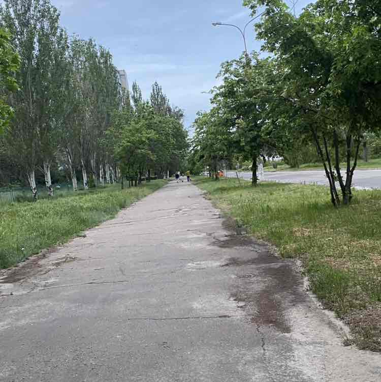 Ходунці Лилия post image