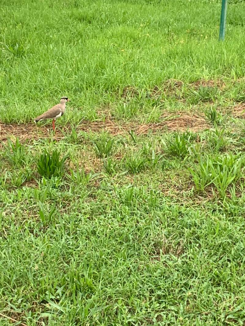 walking near me in George Lea Park in summer