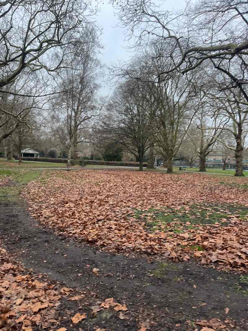 walking near me in Southwark Park in winter