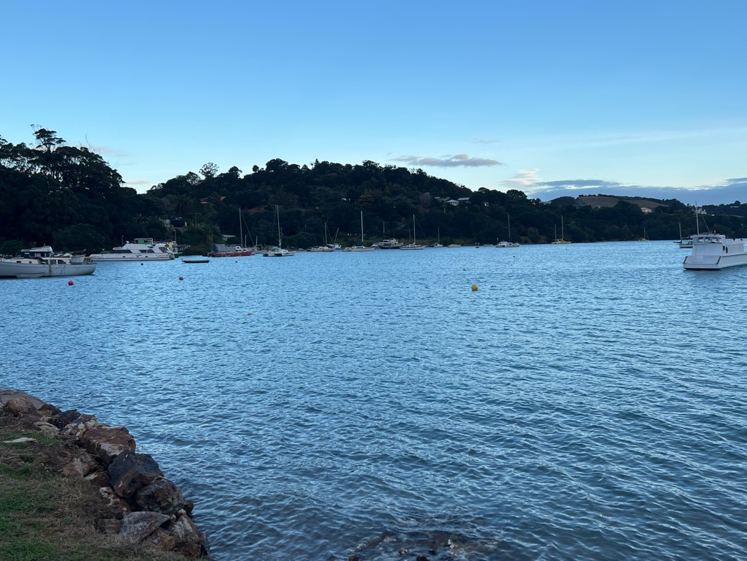 walking near me in Little Oneroa Reserve in summer