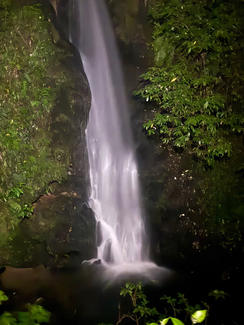 walking near me in McLaren Falls Park in summer