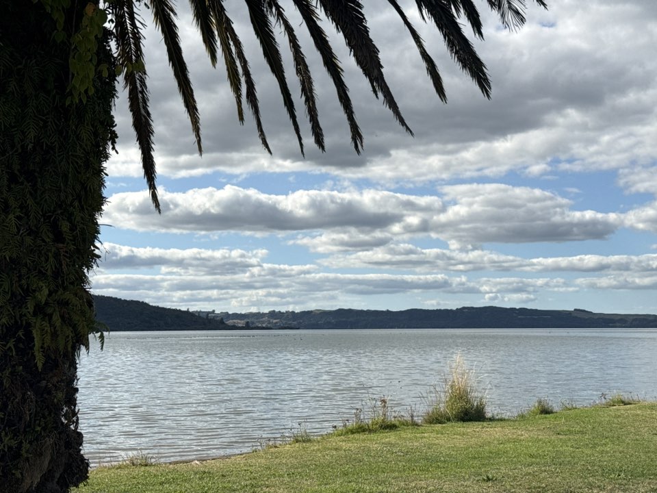 walking near me in Hannahs Bay Reserve in summer