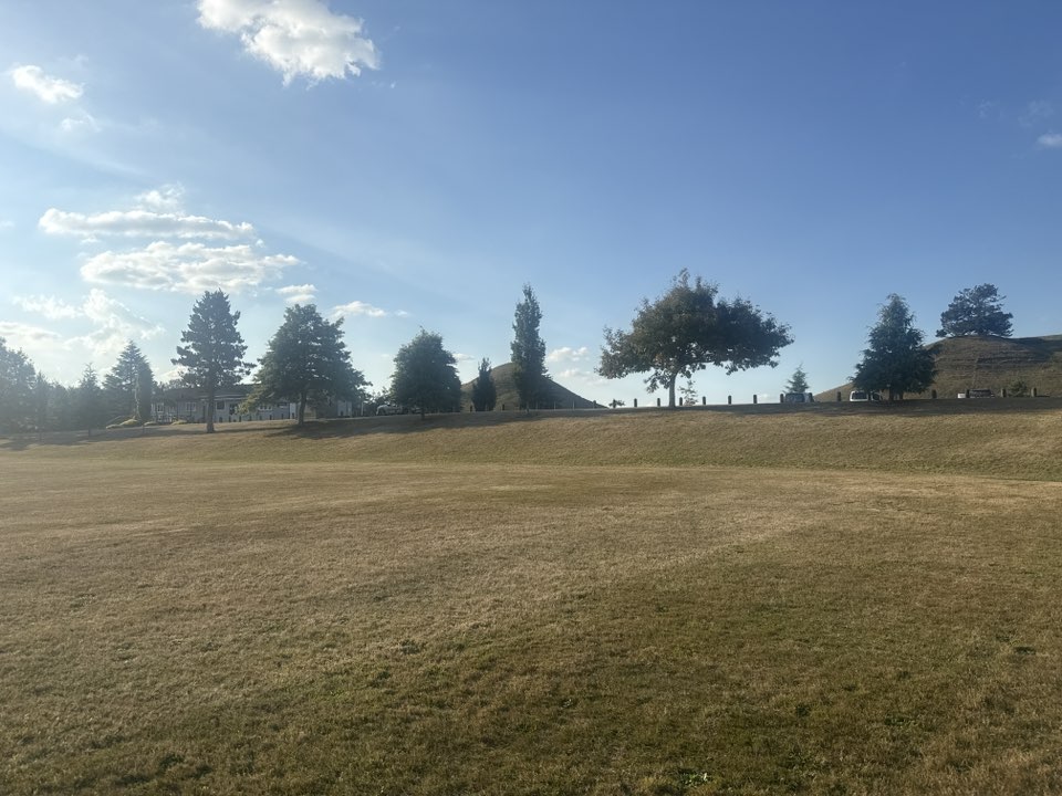walking near me in David Foote Park in autumn