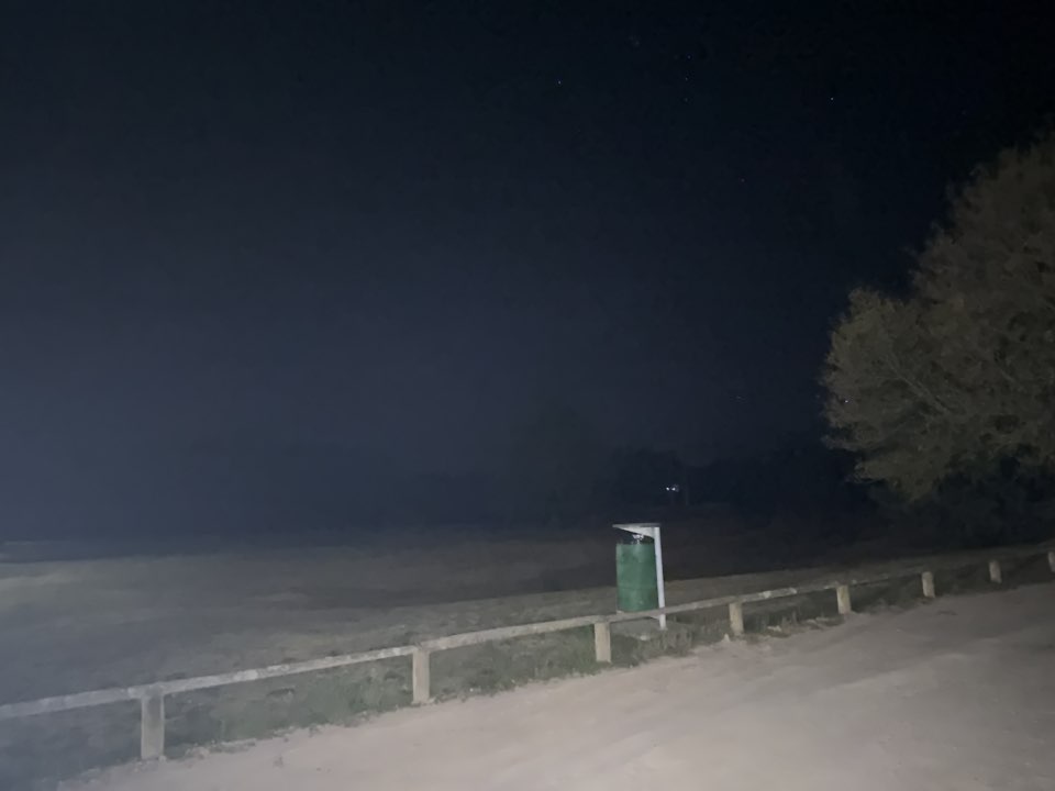 walking near me in Matarawa Reserve in autumn