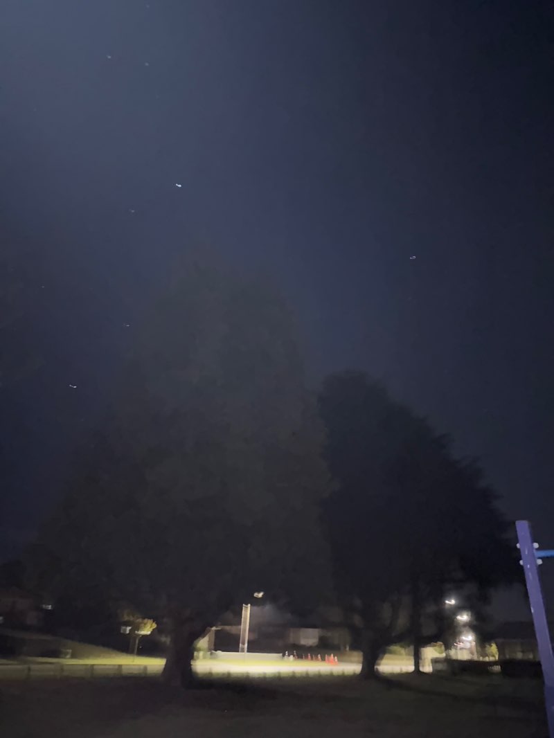 walking near me in Elizabeth Park in autumn