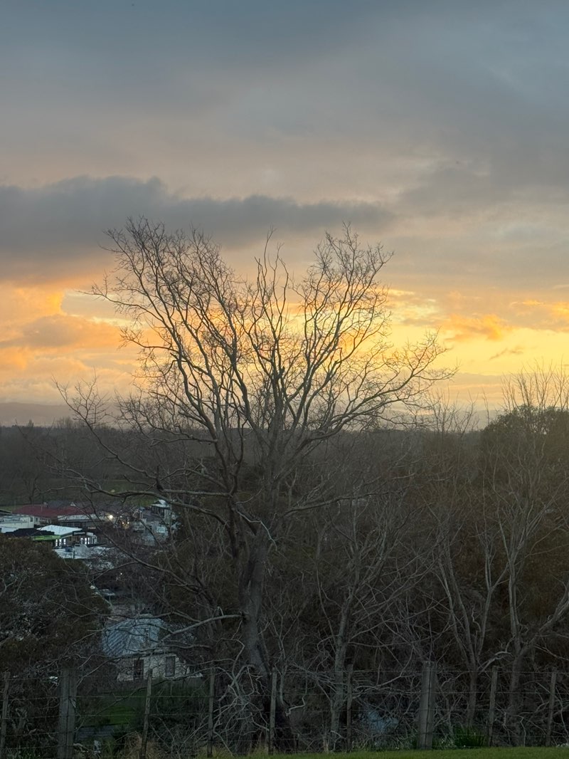 walking near me in Primrose Hill in winter