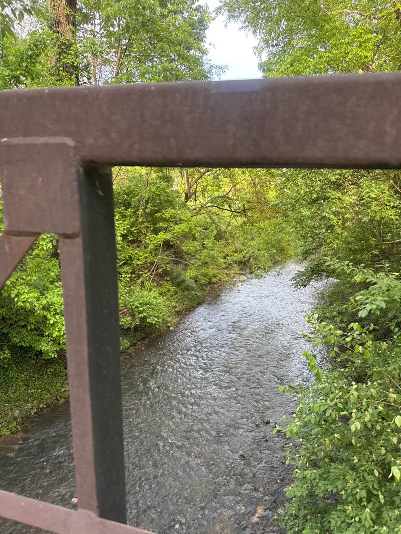 walking near me in Pacific Community Park in spring