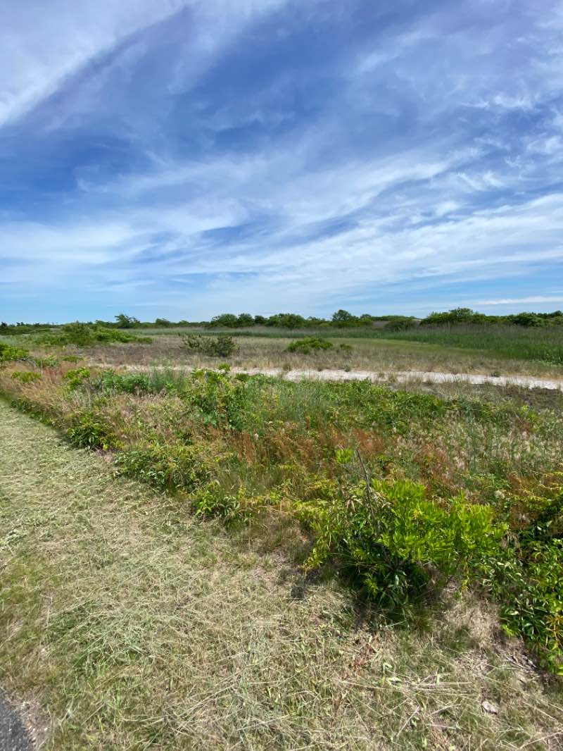 walking near me in Jones Beach State Park in winter