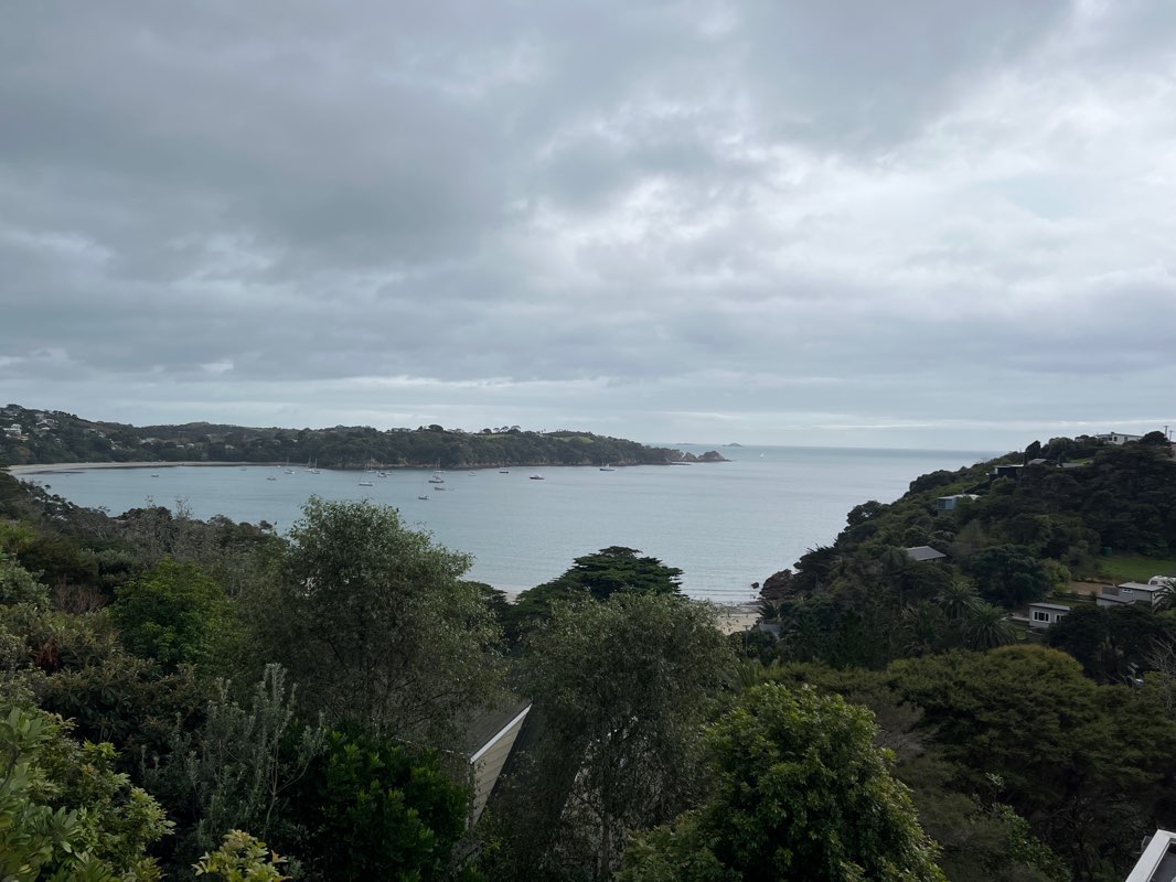 walking near me in Alison Park in summer