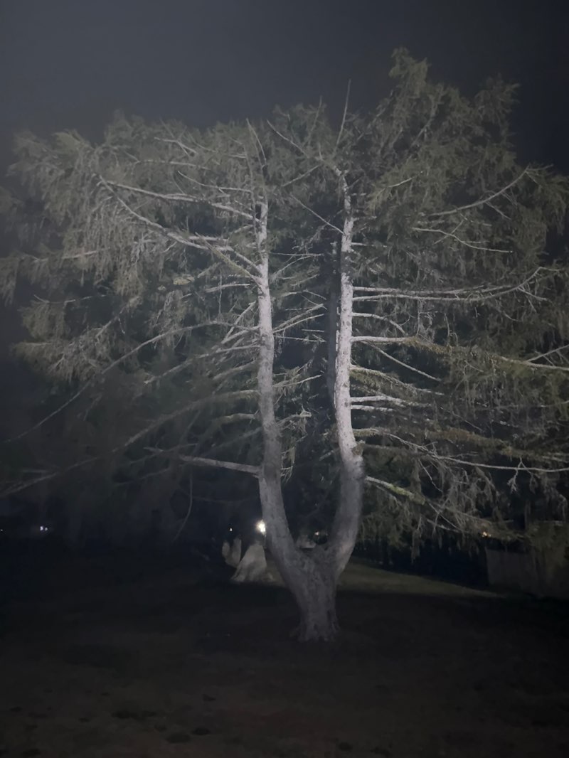 walking near me in Stanley Park in autumn