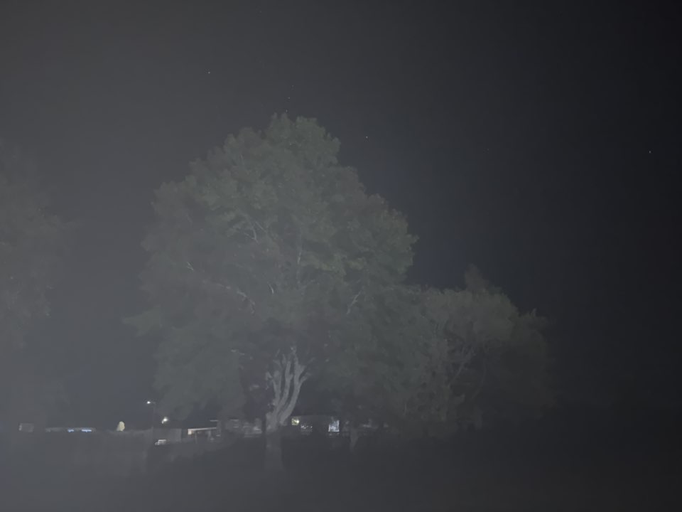 walking near me in Kauri Reserve in autumn