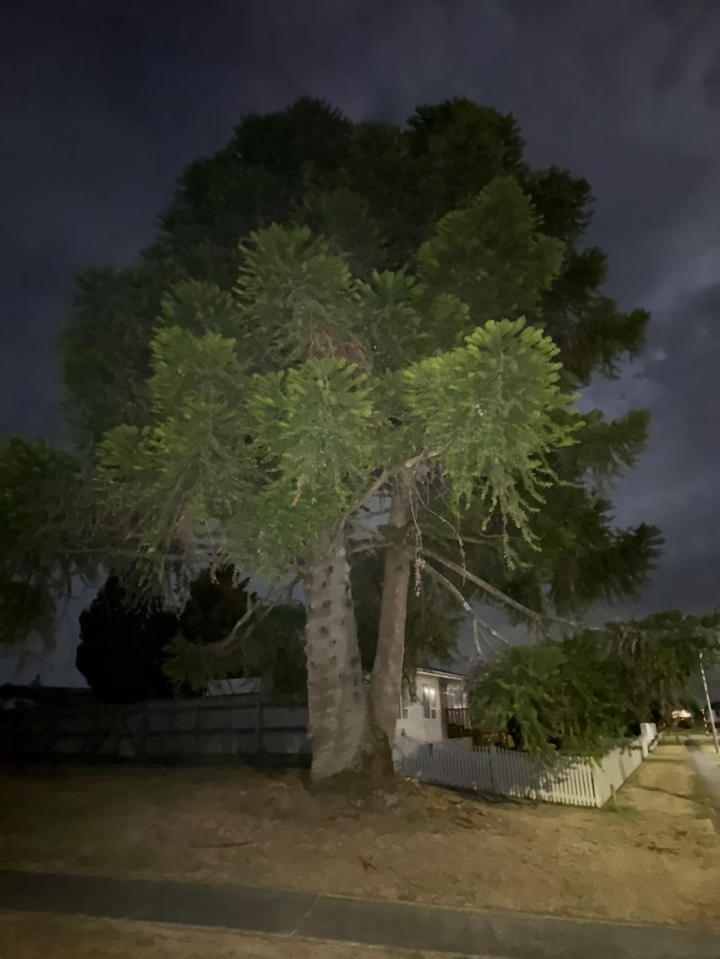 walking near me in Grampian Reserve in autumn