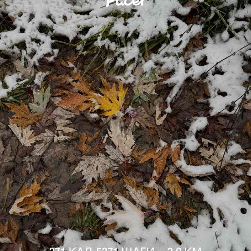 Анастасия 🔥 post 1