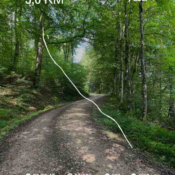 iraira🇺🇦 post 1